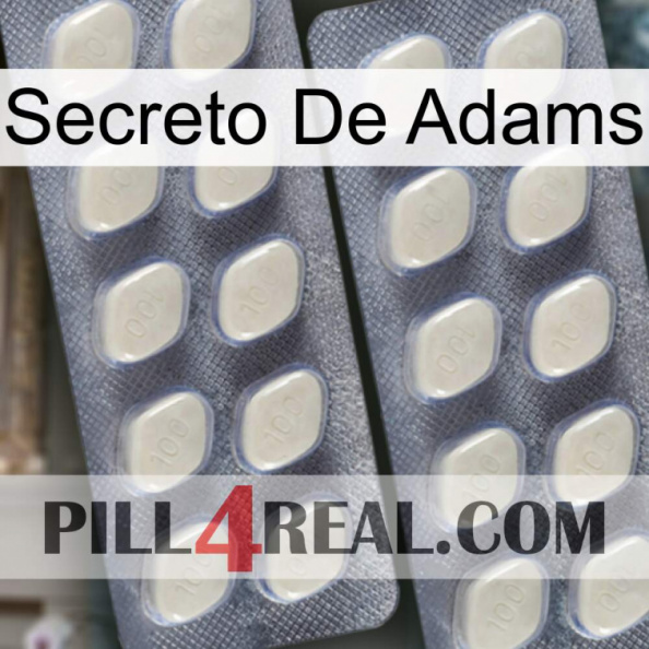 Adams Secret 07.jpg